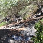 monte-garcia-aldave-incendio-012