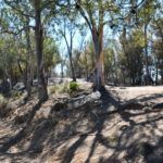monte-garcia-aldave-incendio-013