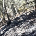monte-garcia-aldave-incendio-014