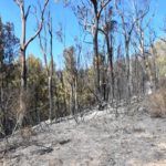 monte-garcia-aldave-incendio-016