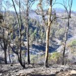 monte-garcia-aldave-incendio-018