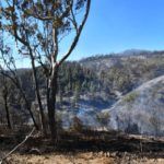 monte-garcia-aldave-incendio-019