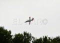 aviones-ejercito-aire-005