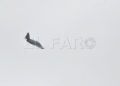 aviones-ejercito-aire-009