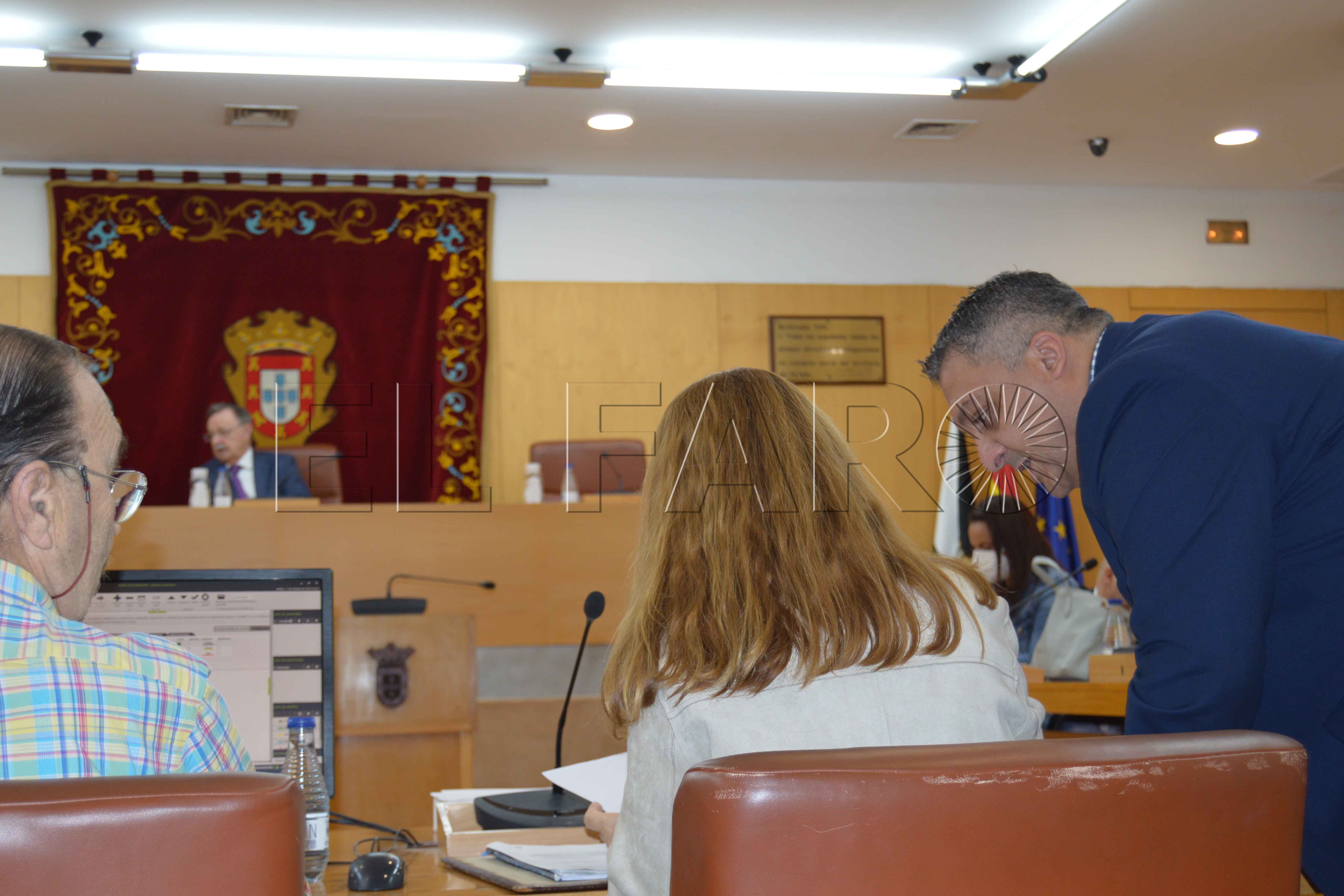 pleno-autobuses (3)