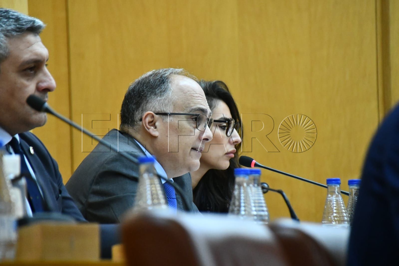 Ceuta abordará con Córdoba un plan de gestión ética de colonias felinas