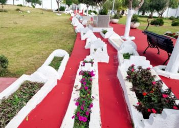 brigadas-verdes-cementerio-sidi-embarek-003
