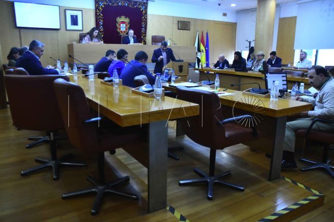La anormal imagen de los plenos