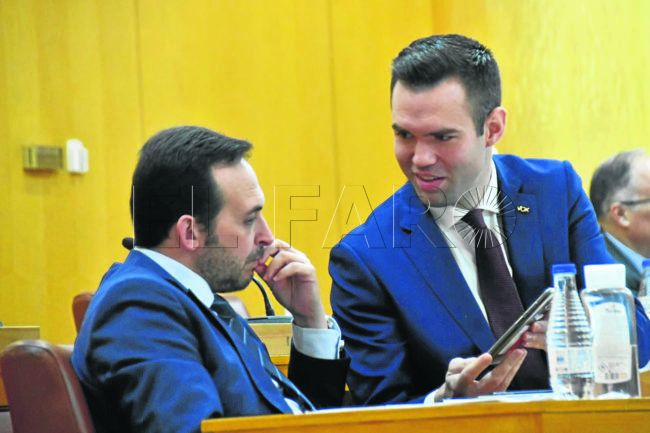 Vox lamenta que el Plan Integral sea «uno más» que «acaba en un cajón»