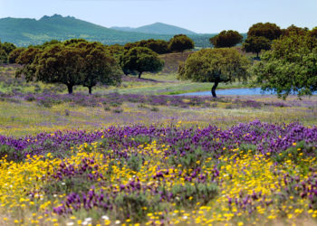 extremadura-2
