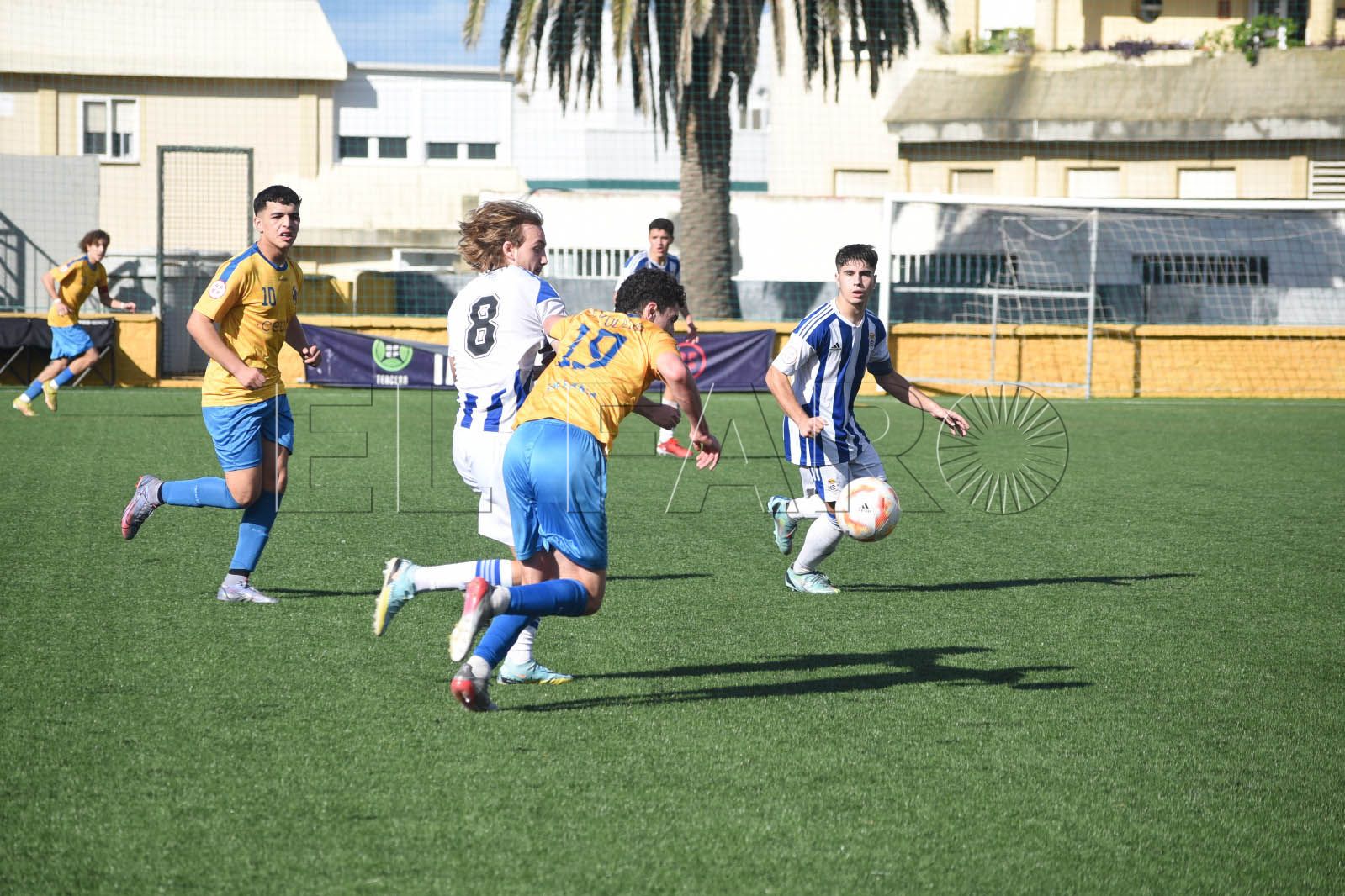 polillas-recreativo