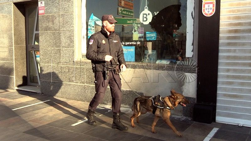 bea-perra-policia-detecta-drogas-billetes-armas-005