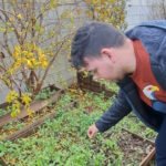 huerto-ecologico-plena-inclusion-005