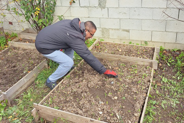 Los usuarios de Plena Inclusión trabajan en un huerto ecológico