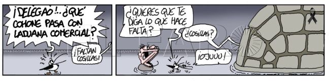 Sábado 11 de febrero de 2023