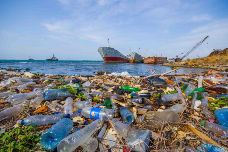 Expertos alertan de la alta concentración de residuos plásticos en el Mediterráneo