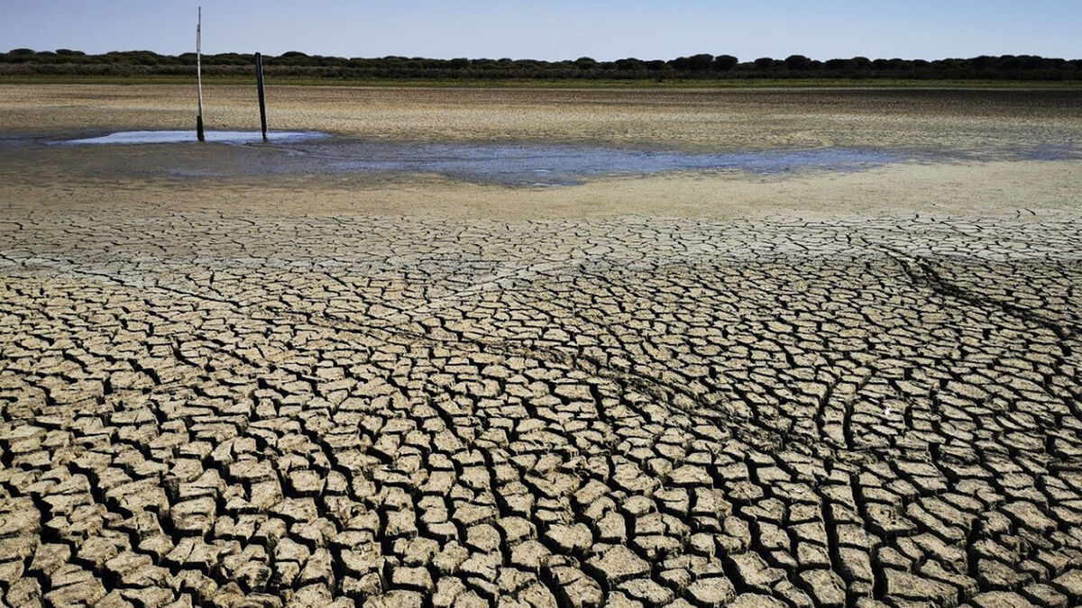 sequia-cambio-climatico-1