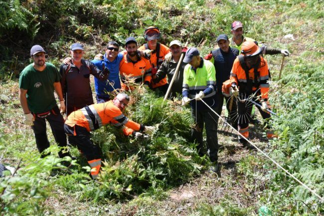 Los héroes verdes que hacen posible la alfombra floral del Corpus