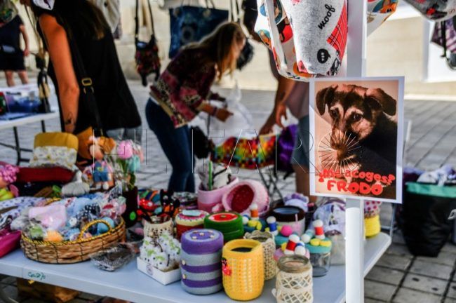 Un mercadillo solidario para financiar el viaje de perros y gatos a Francia