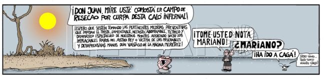 Viernes 14 de julio de 2023