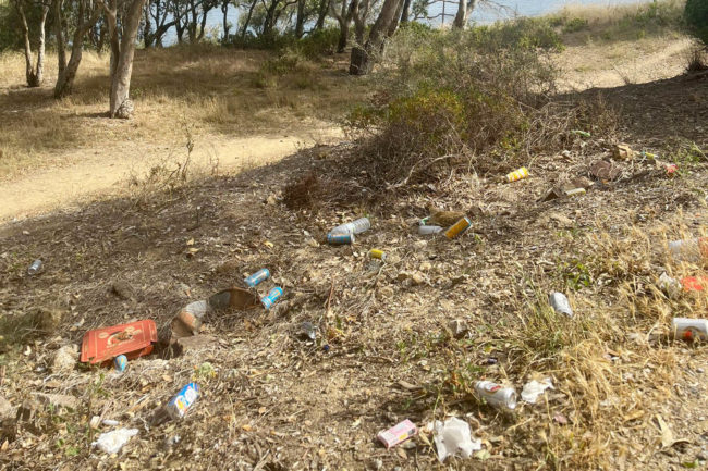 Contenedores en los montes y sanciones más duras para hacer frente al «cerdo ceutí»