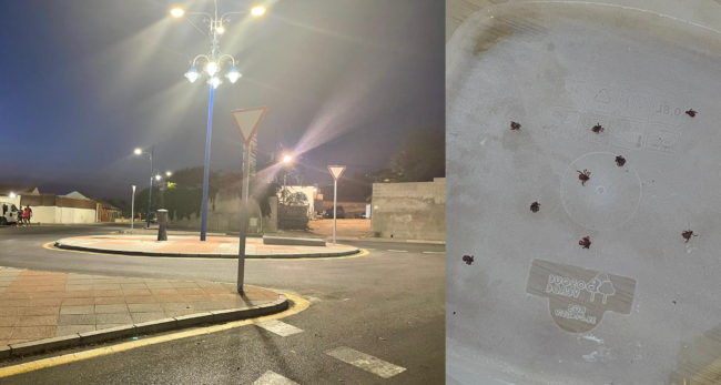 Plaga de garrapatas en el solar que ocupan los feriantes: alcanza ya a casas