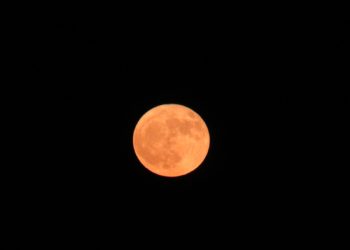 superluna-luna-ciervo-4