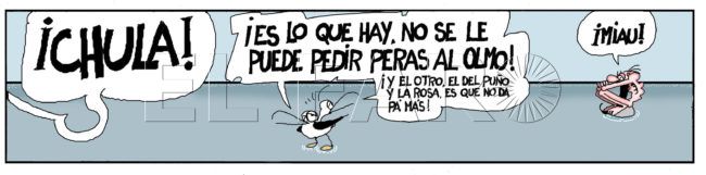 Domingo 3 de septiembre de 2024