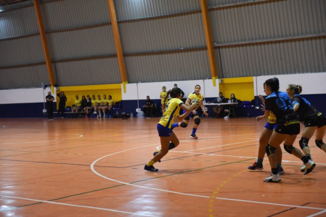 La Federación de Balonmano de Ceuta oferta una plaza de Monitor/Entrenador