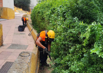 trabajos-limpieza-vertical-tragsa-rosales-2
