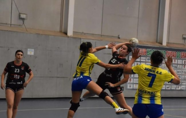 El BM Estudiantes se enfrenta al Alegra BM Sanse en un partido difícil