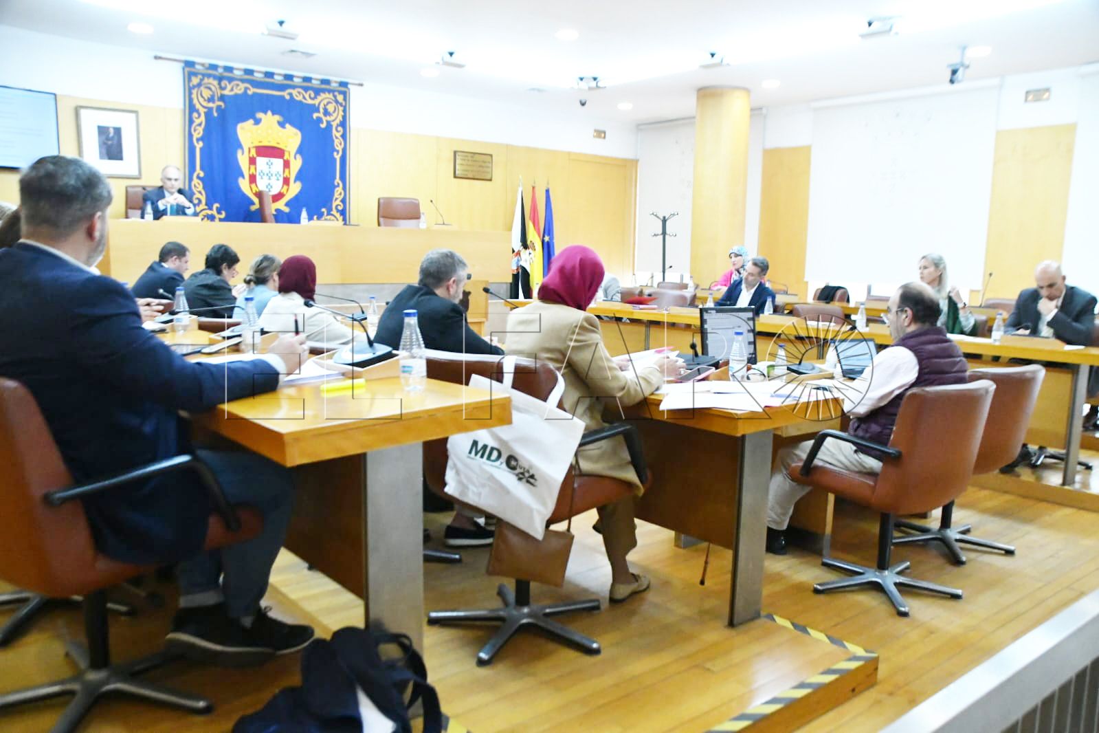 El Pleno aprueba crear talleres de formación digital a petición del PSOE