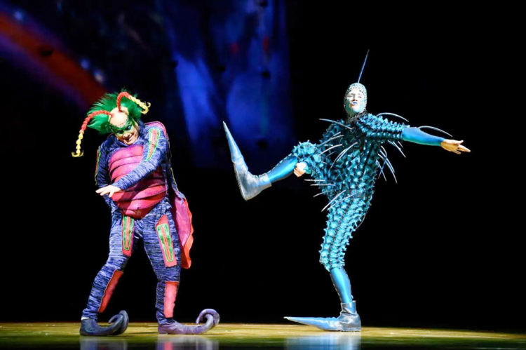 circo-del-sol-2