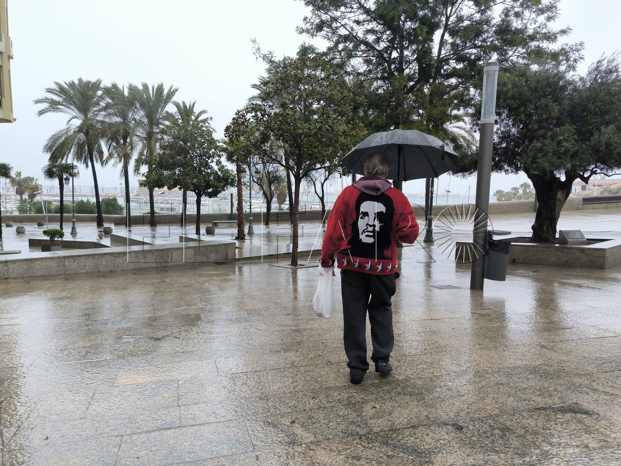 lluvia
