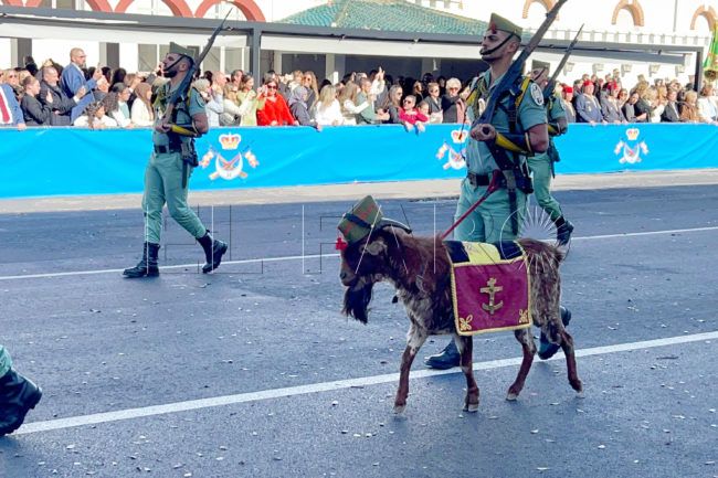 El chivo Pacoli, protagonista en su desfile por la Patrona de Infantería