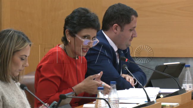Chandiramani insiste en que las nuevas bonificaciones son un demonio