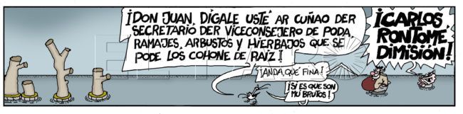 Martes 20 de febrero de 2024