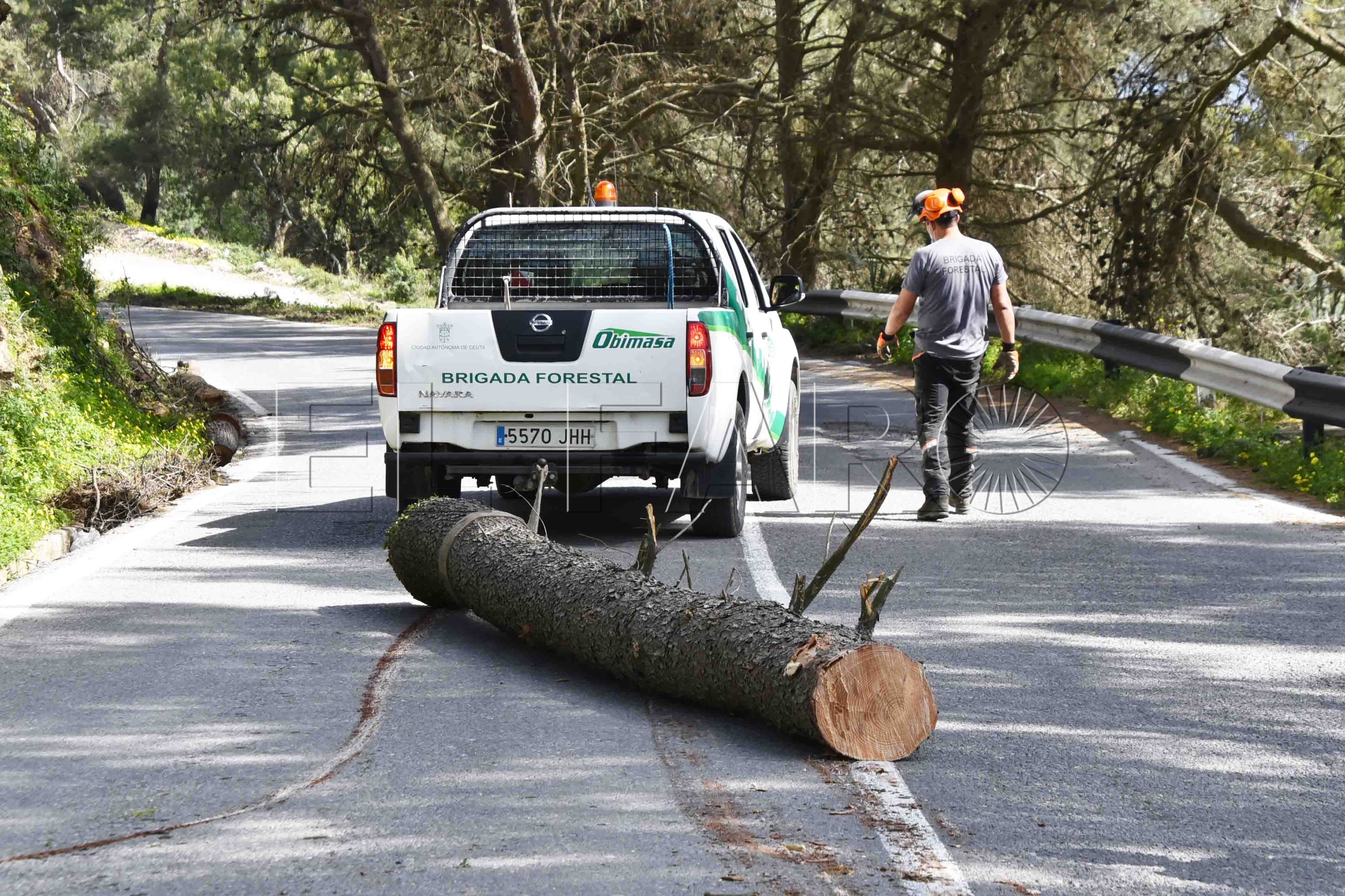 vehiculos-elevadora-obimasa-licitacion