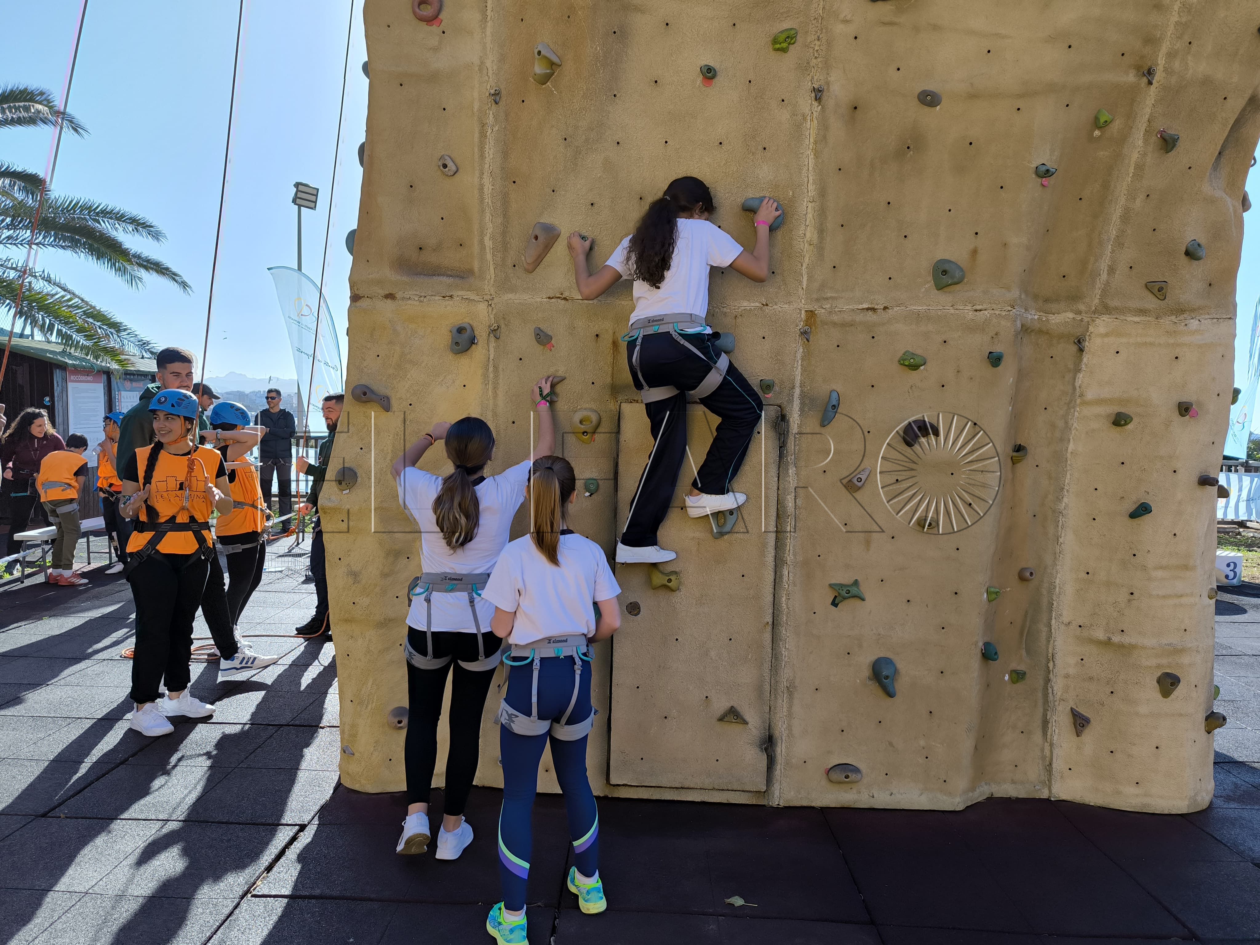 rocodromo-san-amaro-acoge-campeonato-intercentros-escalada-5