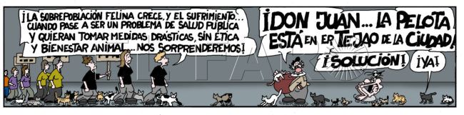 Domingo 21 de abril de 2024