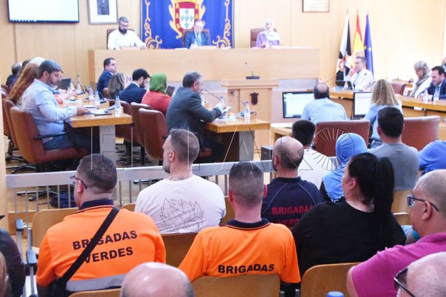 MDyC exige al Gobierno cumplir su promesa de municipalizar las Brigadas Verdes