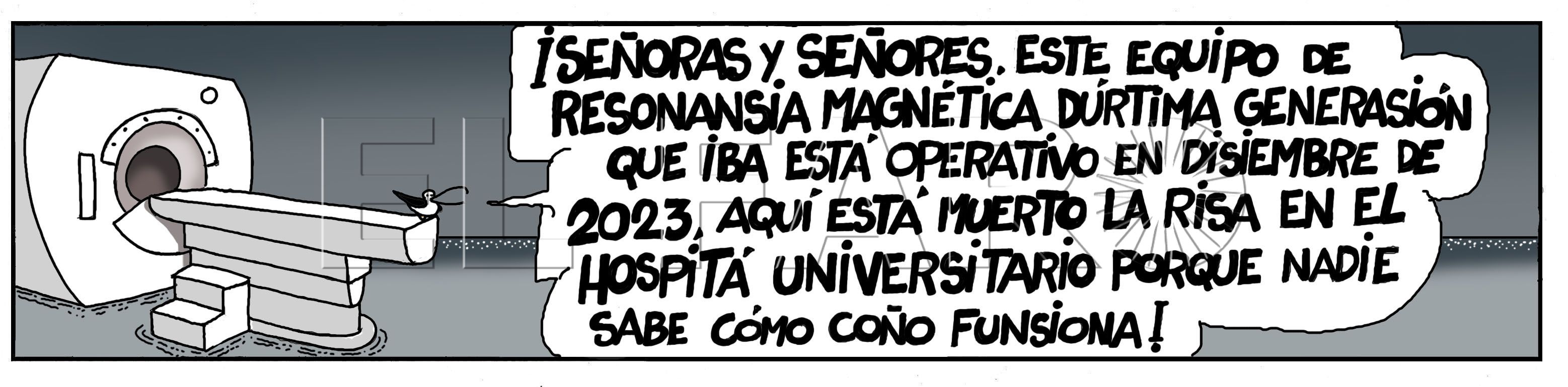 Martes 4 de junio de 2024