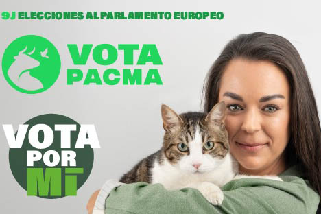 Animalista, votad a PACMA