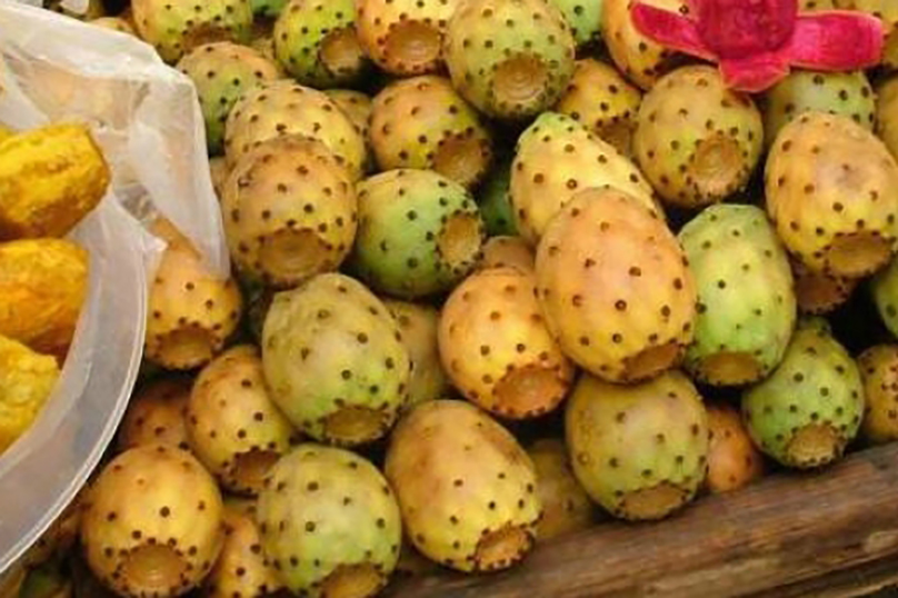 La “fruta de los pobres” se dispara: el precio del higo chumbo