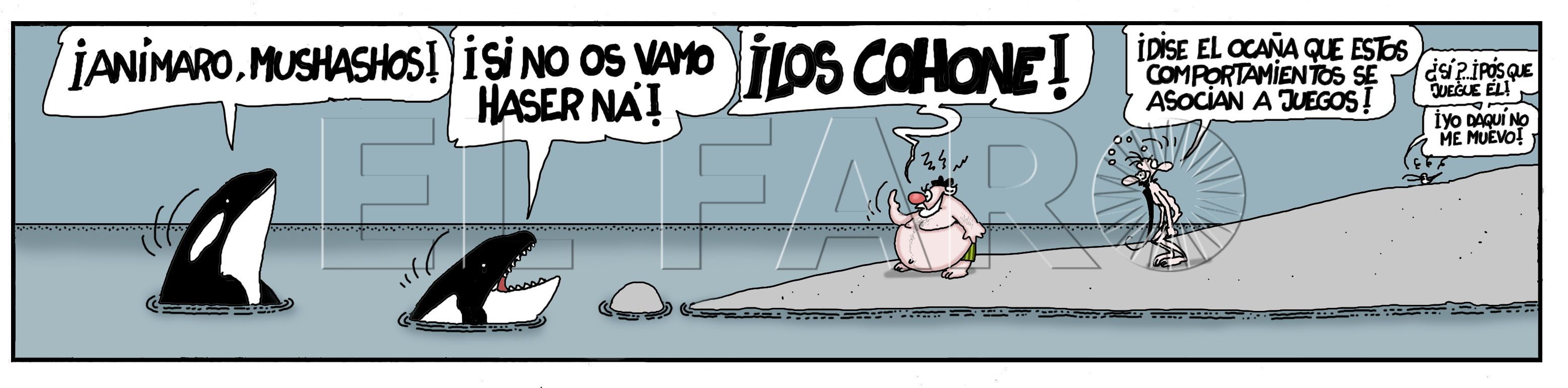 Sábado 6 de julio de 2024