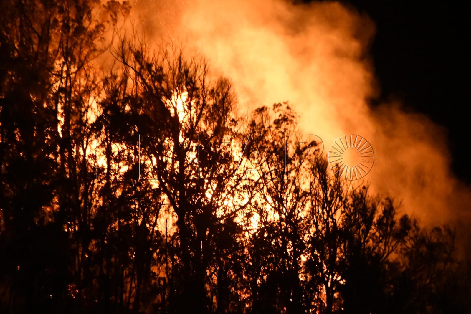 incendio-fuego-monte-hacho-7