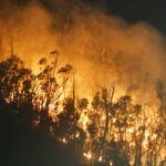 incendio-monte-hacho-2