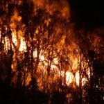 incendio-monte-hacho-4
