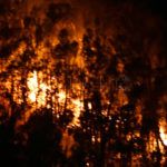 incendio-monte-hacho-6