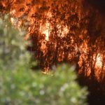 incendio-monte-hacho-8